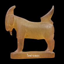 แพะ หลวงพ่ออ่ำ วัดหนองกะบอก จ.ระยอง