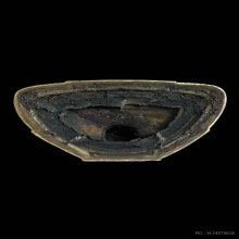 พระพุทธชินราชสามกษัตริย์ หน้าตัก12นิ้ว ปี2511