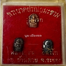 ปรกจ้อยหลวงปู่ทิม วัดละหารไร่