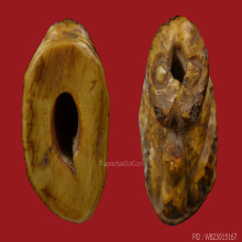 # Rare​ Item#​ เสือหลวงปู่บุญ​ วัดกลางบางแก้ว​ + บัตร​ฯ​