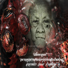 “เบี้ยมหาอุตม์