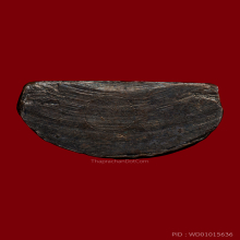 รูปเหมือน หลวงพ่อเขียว วัดหรงบล ปี 2513