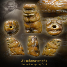 เสือหลวงพ่อพัว วัดบางเดือน จ.สุราษฎร์ธานี