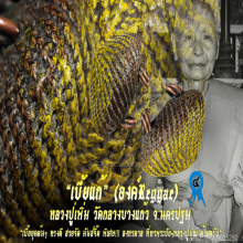 “เบี้ยแก้” (องค์Reggae) หลวงปู่เพิ่ม วัดกลางบางแก้ว จ.นครปฐม