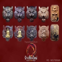 รุ่นเสือนอนกินในรอบ ๑๒๐ ปี พระอาจารย์ต้อม วัดท่าสะแบง