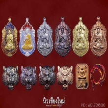 รุ่นเสือนอนกินในรอบ ๑๒๐ ปี พระอาจารย์ต้อม วัดท่าสะแบง