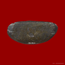 ปิดตามหาลาภชินบัญชร (องค์ดารา) ปุ้มปุ้ย ปี17