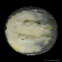 ร็อคเก็ทหลวงตามหาบัว หลังเทียนชัย ตอกเลข ๓๕