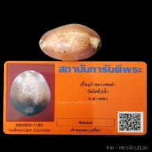 เบี้ยแก้หลวงพ่อคำ วัดโพธิ์ปล้ำ จ.อ่างทอง 