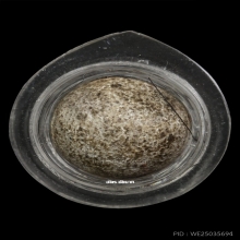 ลูกอมคอเป็ด หลวงพ่อคง วัดวังสรรพรส จ.จันทบุรี 