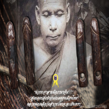 “ปลัดขิก” (หัวกระจ่า) หลวงพ่อเหลือ วัดสาวชะโงก จ.ฉะเชิงเทรา