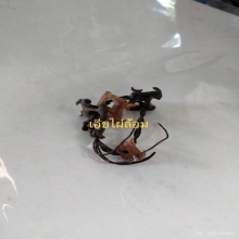 แพะหลวงปู่อ่ำ วัดหนองกระบอก ศีลป์ลุงเขื่อง ยุคต้น