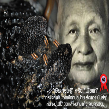 “เบี้ยแก้” หลวงปู่เพิ่ม วัดกลางบางแก้ว จ.นครปฐม