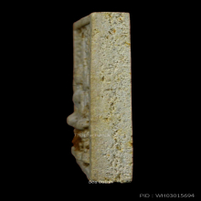 ชินราช อาจารย์ฝั้น อาจาโร วัดถ้ำขาม #1