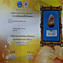 พระพิจิตรเม็ดน้อยหน่า กรุท่าฉนวนพิจิตร