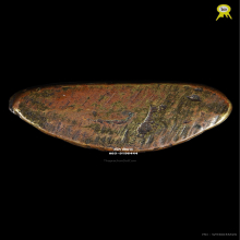 รูปหล่อโบราณหลวงพ่อจง [รองแชมป์งานสมาคม] วัดหน้าต่างนอก