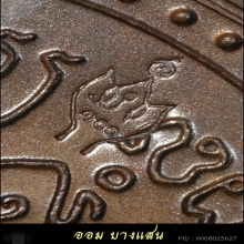 เหรียญอนุสรณ์ครบรอบ 100 ปี มรณกาล หลวงปู่ศุข จ.ชัยนาท