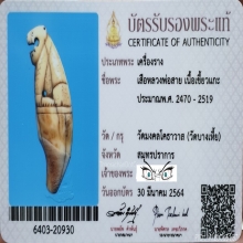 เสือเขี้ยวแกะ หลวงพ่อสาย วัดบางเหี้ย *สวย​แชมป์* + บัตร​​ฯ