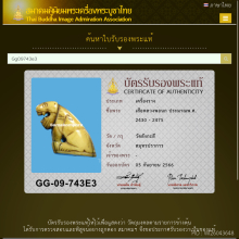 เสือหลวงพ่อนก วัดสังกะสี 