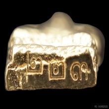 พระทองคำ.ชุดนาคปรกจ้อยย้อนยุคหลวงปู่ทิม อิสริโก ปี2560