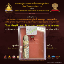 >>>.., ปลัดขิกหลวงพ่อไสว วัดปรีดาราม เนื้อvาลงสี สวยแชมป์!!!