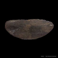 รูปหล่อพ่อท่านคล้าย วัดสวนขัน ปี 08 พิมพ์หลังตรง