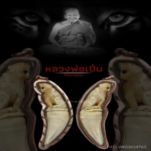 พยัคฆ์มหาอำนาจ หลวงพ่อเปิ่น วัดบางพระ