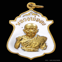 เหรียญกองบิน ทร. หลังเสือ หลวงพ่อคง วัดวังสรรพรส