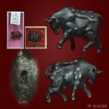 วัวธนู รุ่นแรก หลวงปู่คำแสน วัดป่าดอนมูล 