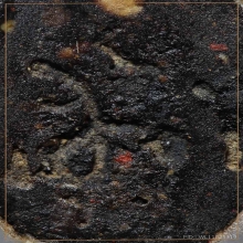 เศียรบรมครูพ่อแก่ฤาษี อาจารย์อาคม สายาคม