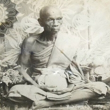ม้าหลวงพ่ออ่ำ วัดหนองกระบอก