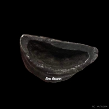 พระกรุนาคาม (ติดรางวัลงานศูนย์ราชการ) จ.นครศรีธรรมราช