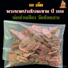 พระนาคปรกใบมะขามพ่อท่านเขียว วัดห้วยเงาะ100 องค์