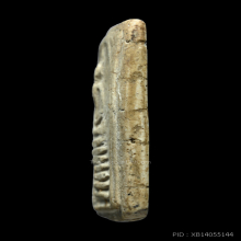 พระสมเด็จวัดเกศไชโย พิมพ์เจ็ดชั้นนิยม