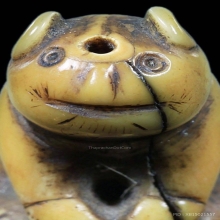 เสือ ล.พ.ปาน วัดบางเหี้ย จ.สมุทรปราการ