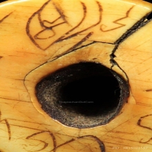 เสือ ล.พ.ปาน วัดบางเหี้ย จ.สมุทรปราการ