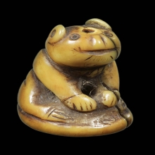 เสือ ล.พ.ปาน วัดบางเหี้ย จ.สมุทรปราการ