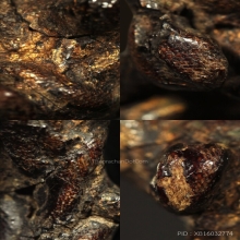 แหวน9ยอดหลวงพ่อหรุ่น วัดอันพวัน กรุงเทพ 