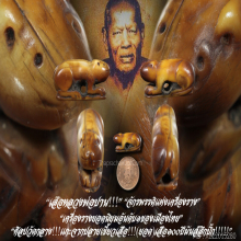 “เสือ” (ศิลป์วัดกลาง) หลวงพ่อปาน วัดคลองด่าน จ.สมุทรปราการ