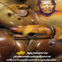 “เสือ” (ศิลป์วัดกลาง) หลวงพ่อปาน วัดคลองด่าน จ.สมุทรปราการ