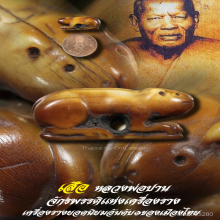 “เสือ” (ศิลป์วัดกลาง) หลวงพ่อปาน วัดคลองด่าน จ.สมุทรปราการ