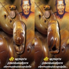 “เสือ” (ศิลป์วัดกลาง) หลวงพ่อปาน วัดคลองด่าน จ.สมุทรปราการ