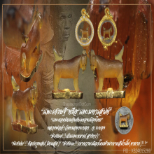 “แพะเศรษฐี” “แพะมหาเสน่ห์” หลวงพ่ออ่ำ วัดหนองกระบอก จ.ระยอง