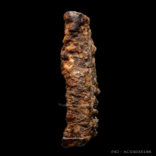 พระสมเด็จบางขุนพรหม พิมพ์สังฆาฏิ