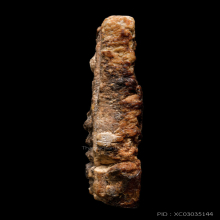 พระสมเด็จบางขุนพรหม พิมพ์สังฆาฏิ