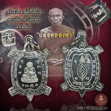 เหรียญเต่าไตรมาส พิมพ์เล็กเนื้อเงิน หลวงปู่หลิว