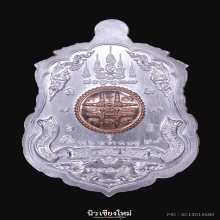 เหรียญเสือคู่มหาบารมี พระอาจารย์ต้อม วัดท่าสะแบง