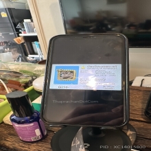 สิงห์หลวงพ่อเดิม วัดหนองโพ (นิยมในกรอบ 3ขวัญ) งาแกะ