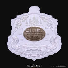 เหรียญเสือคู่มหาบารมี พระอาจารย์ต้อม วัดท่าสะแบง