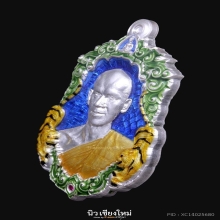 เหรียญเสือคู่มหาบารมี พระอาจารย์ต้อม วัดท่าสะแบง